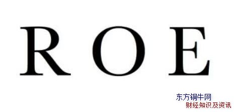 roe��ʲô��˼
