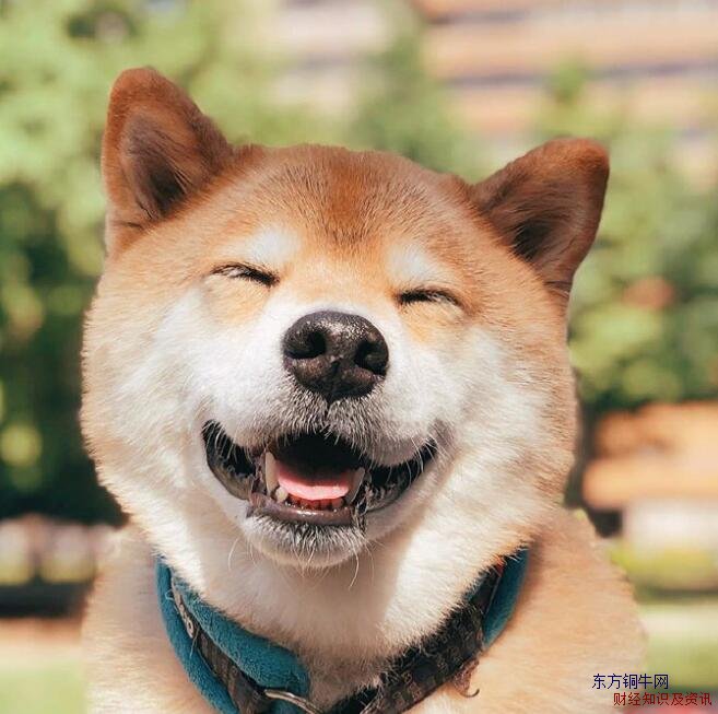 ΢Ц��