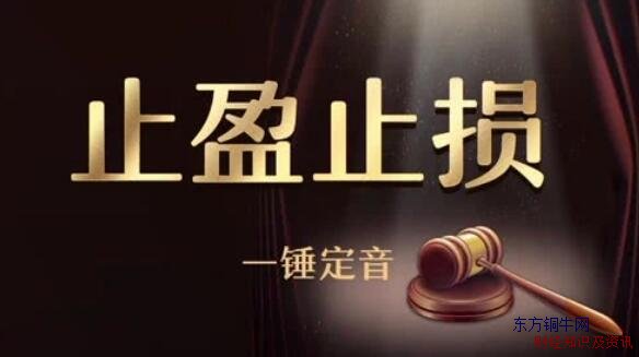��Ʊֹӯ��ʲô��˼